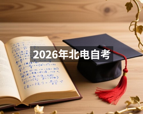 2026年北电自考