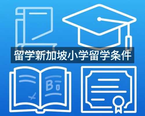 留学新加坡小学留学条件
