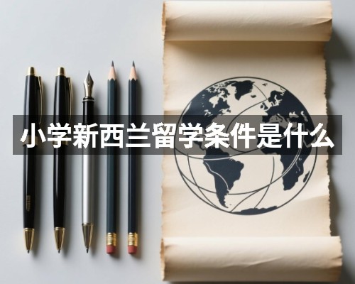 小学新西兰留学条件是什么