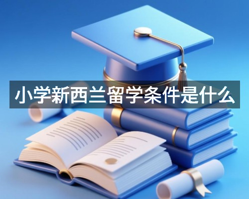 小学新西兰留学条件是什么