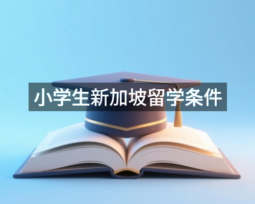 小学生新加坡留学条件