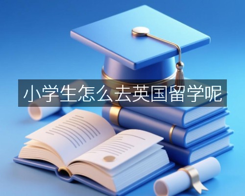 小学生怎么去英国留学呢