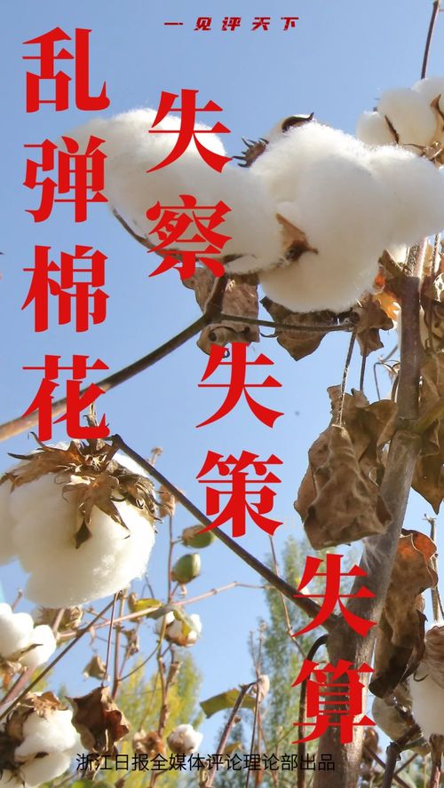 乱弹棉花,乱弹棉花怎么描述