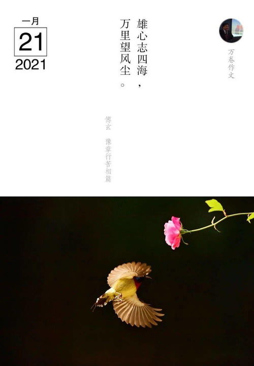 亲爱的陌生人,亲爱的陌生人林俊杰歌词是什么