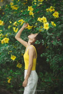 人比黄花瘦什么意思,人比黄花瘦是什么意思？