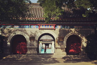 六月六看谷秀什么意思,有谁知道“六月六，看谷秀”是什么意思？