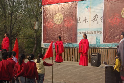 六艺指什么,六艺指的是什么？