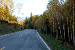 其实地上本没有路,其实地上本没有路走的人多了也便成了路。出自哪里