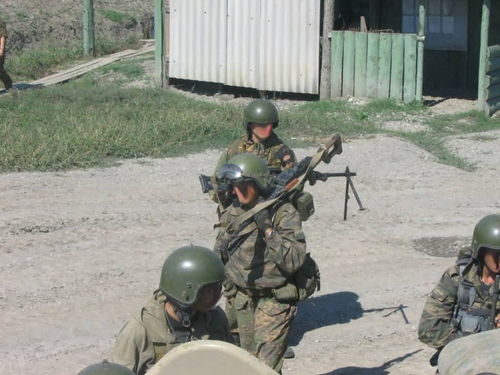 内卫,内卫是什么兵种？