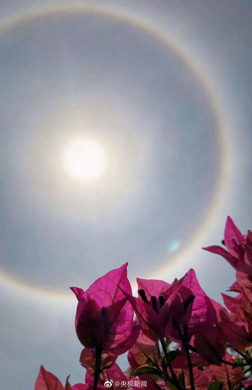 内蒙古多地现巨型日晕,内蒙古现幻日奇观怎么回事是什么引起的