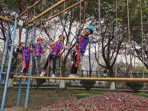 冒险岛之旅,冒险岛之旅作文