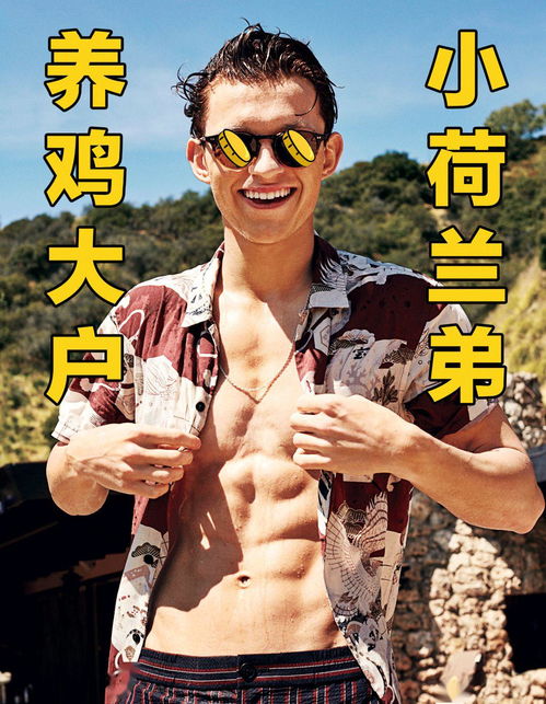 农夫的追求,农民的追求让哪里有光怎么完成