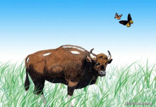 农夫耕田,文言文《农夫耕田》的翻译是什么