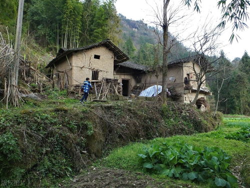 农村扶贫标准,国家农村扶贫标准