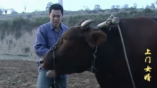 农民宰杀老虎吃肉,吃老虎肉处什么刑罚