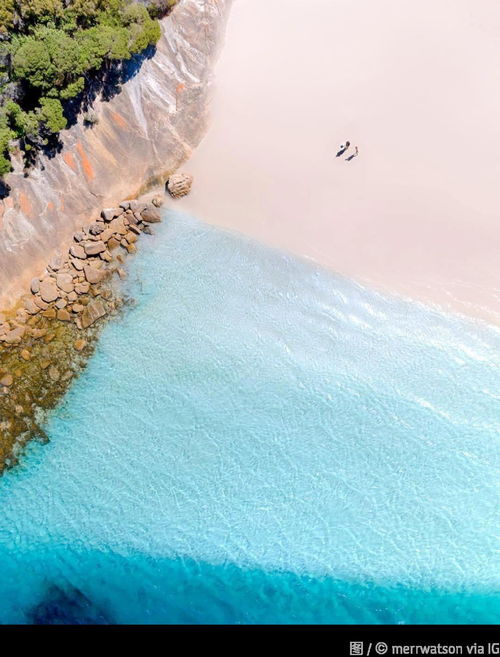 凝望红海滩阅读答案,凝望红海滩阅读文