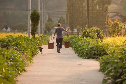 刘易斯拐点,刘易斯拐点