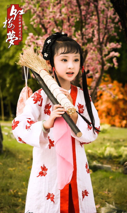 刘姥姥进大观园阅读答案,刘姥姥进大观园阅读答案