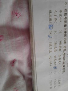 前 后 成语,带前和后字的成语