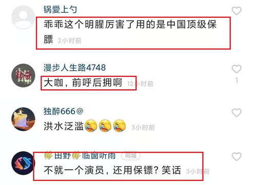 前呼后拥的意思,前呼后拥的意思