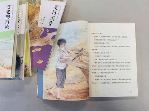 前方曹文轩,我曾遇到一束光在前方是什么类型