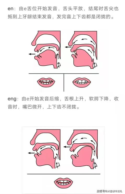 前鼻音和后鼻音有哪些,前鼻音后鼻音各有哪些