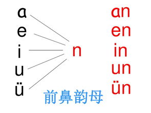 前鼻韵母和后鼻韵母有哪些,前鼻韵母和后鼻韵母有哪些?