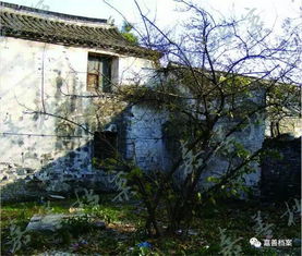 南张北周,“南张北周”指的是谁