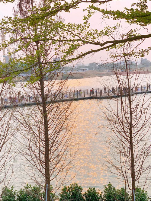 南方梅园生态村,普宁南方梅园有多少户？