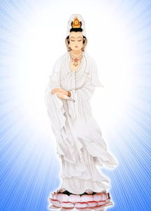 南无观世音菩萨圣号,请问：“观世音菩萨圣号”是什么啊？应该怎么念啊？谢谢！能不能念恭敬观世音菩萨？