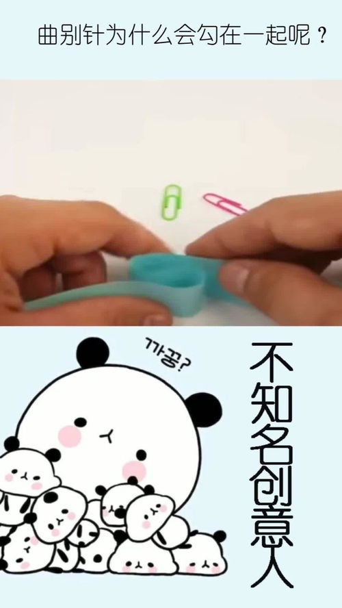 哦买噶,哦买噶的英文是什么？