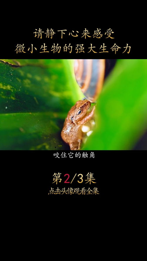 哪种生物生命力更强,世界上生命力最顽强的十种动物，让人叹服