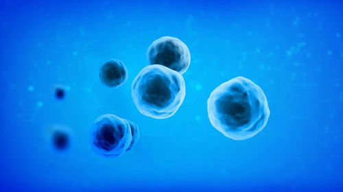 哪种细胞被称为人体的健康卫士,哪种细胞被称为人体的健事卫士？