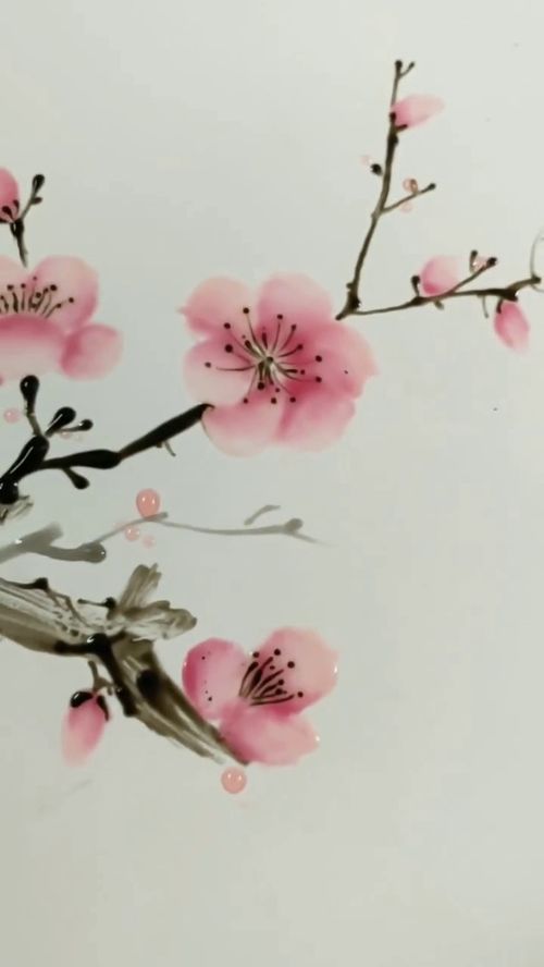 墙角数枝梅凌寒独自开,墙角数枝梅，凌寒独自开。的意思是什么？