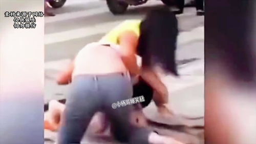 女中学生打架,为什么女中学生打架的那么多？