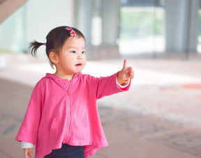 女儿,女儿的读音女儿的读音是什么