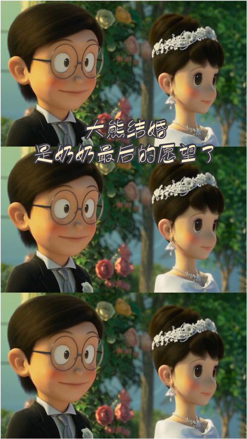 奶奶的遗憾,奶奶走了，她走的很安详，走的时候身边没有一个人，就像睡着一样，可我还有很多话和奶奶说