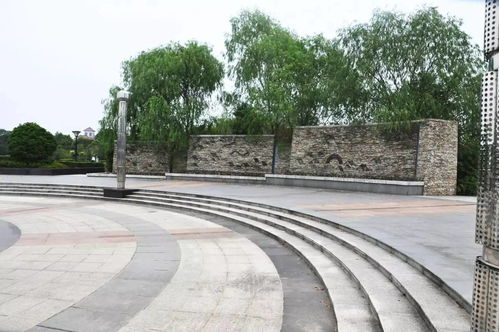 嫩绿的芽儿,嫩绿的芽儿的全诗