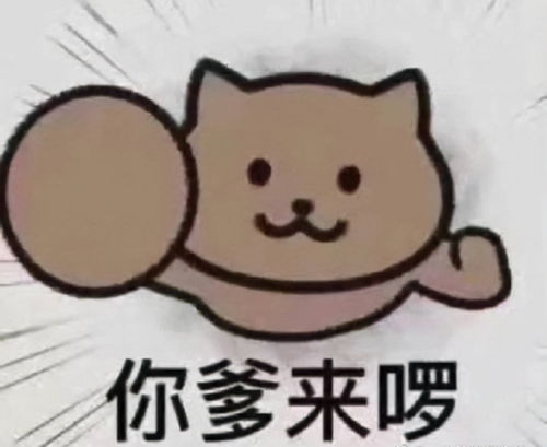 嬲嫐是什么意思,嬲嫐是什么意思？