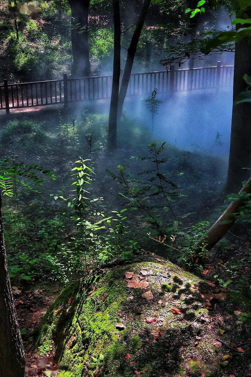 孟夏草木长绕屋树扶疏,孟夏草木长绕屋树扶疏。孟夏草木长绕屋树扶疏。 的意思多一点