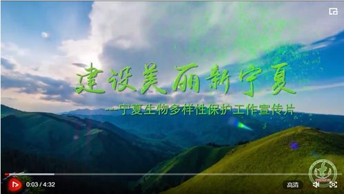 宁夏川,关于宁夏川的资料