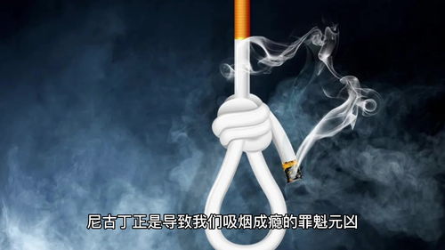 尼古丁是什么,尼古丁是什么