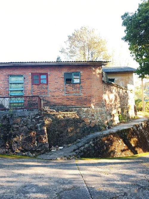 岭外音书断,岭外音书断的全诗