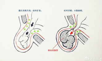 嵌的形近字,嵌的形近字是什么？