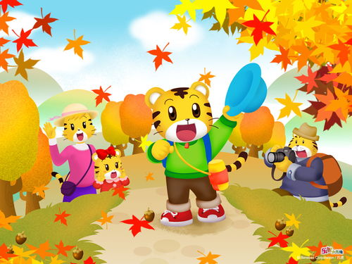 巧虎走迷宫,巧虎圣诞数字磁铁迷宫怎么玩