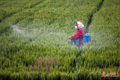 幕春,两个春是什么字