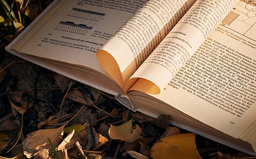 商丘留学流程_商丘留学流程咨询