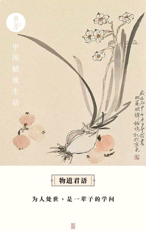 平凡之心,关于平凡之心的作文