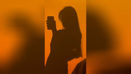 平凡的心,什么叫平凡心