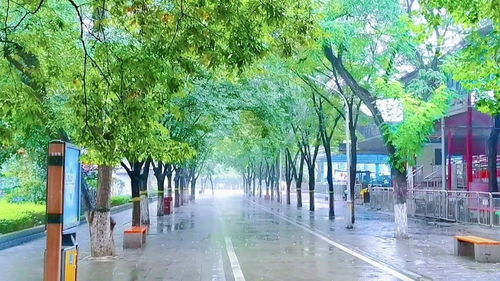 平顶山美景,河南平顶山六个值得一去的旅游景点